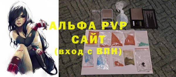 амф Корсаков