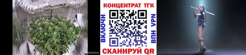 Купить закладки  Болгар  Дистиллят ТГК Wax 